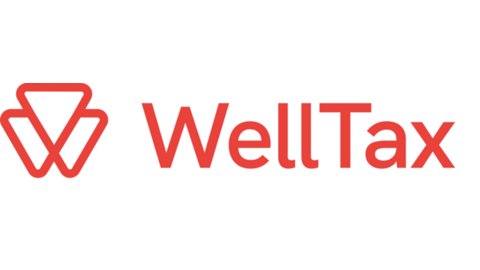 WellTax | Legal Person vs Natural Person UAE: 5 Must-Know Corporate Tax Rules for Natural Persons