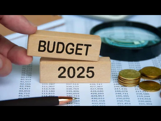 Budget 2025 answers expectations, raises questions for Gulf NRI businesses