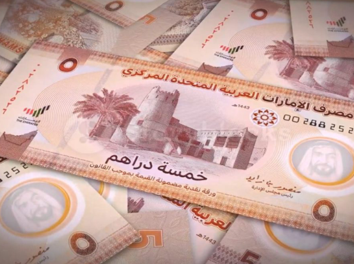 Dubai Conclave Unveils Major Advancements In India-UAE Digital Payments