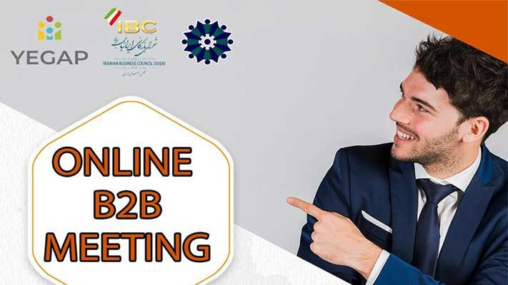 Online B2B Meeting