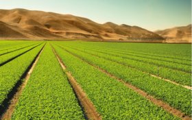 New Agricultural Advisor for the UAE