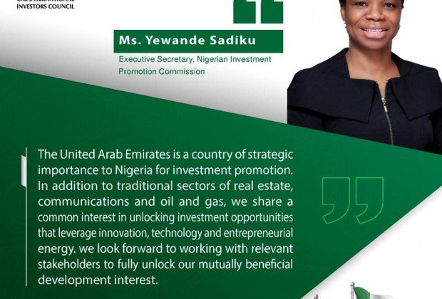 UAE and Nigeria... promising economic prospects