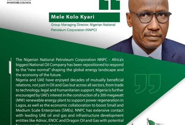 UAE and Nigeria... promising economic prospects