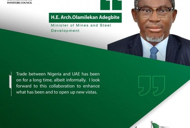 UAE and Nigeria... promising economic prospects