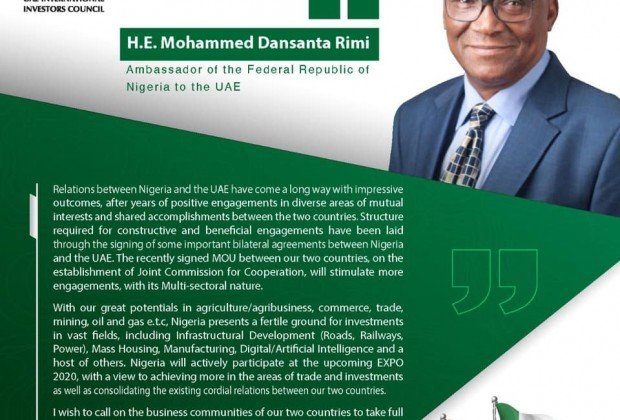 UAE and Nigeria... promising economic prospects