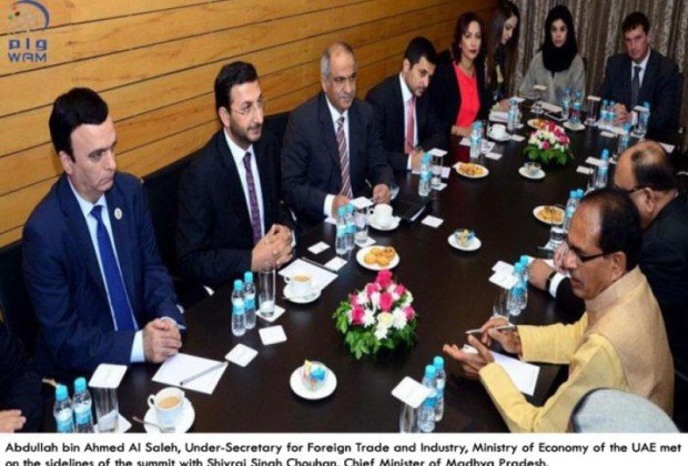 UAE participates in Global Investors Summit in India
